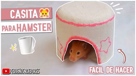 x. hamster|Cómo Comprar Hamsters (HAMS) 